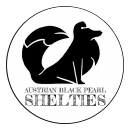 Austrian Black Pearl Shelties - Sheltiezucht in der Oststeiermark